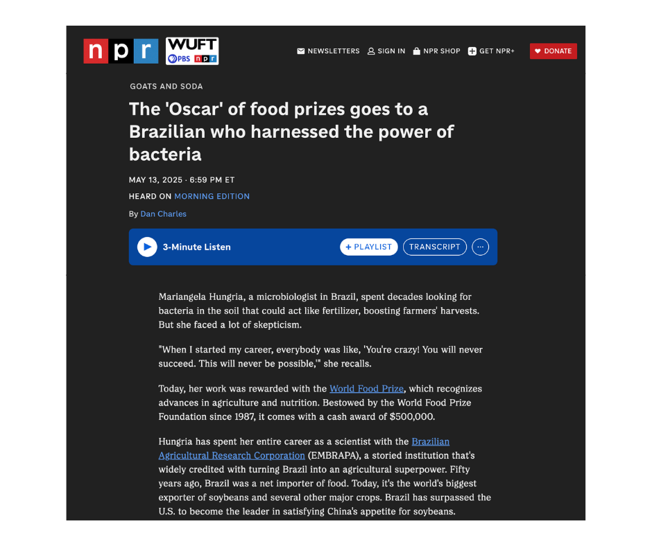 Brazil news