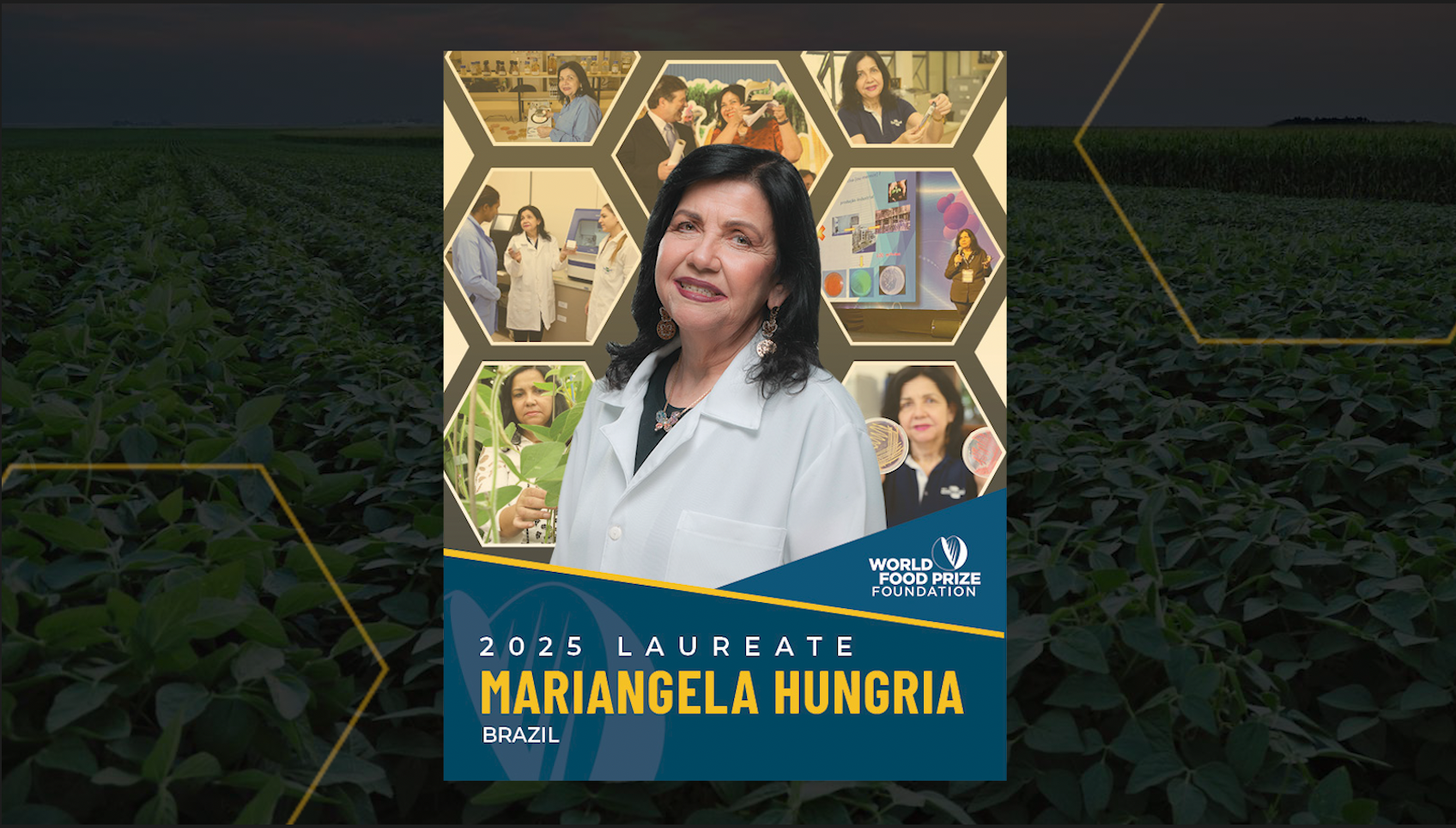 Portrait of a female in a white lab coat, with a darken paddy field in the background and two hexagon shape as decorative elements